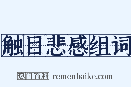 触目悲感组词是什么意思的图片